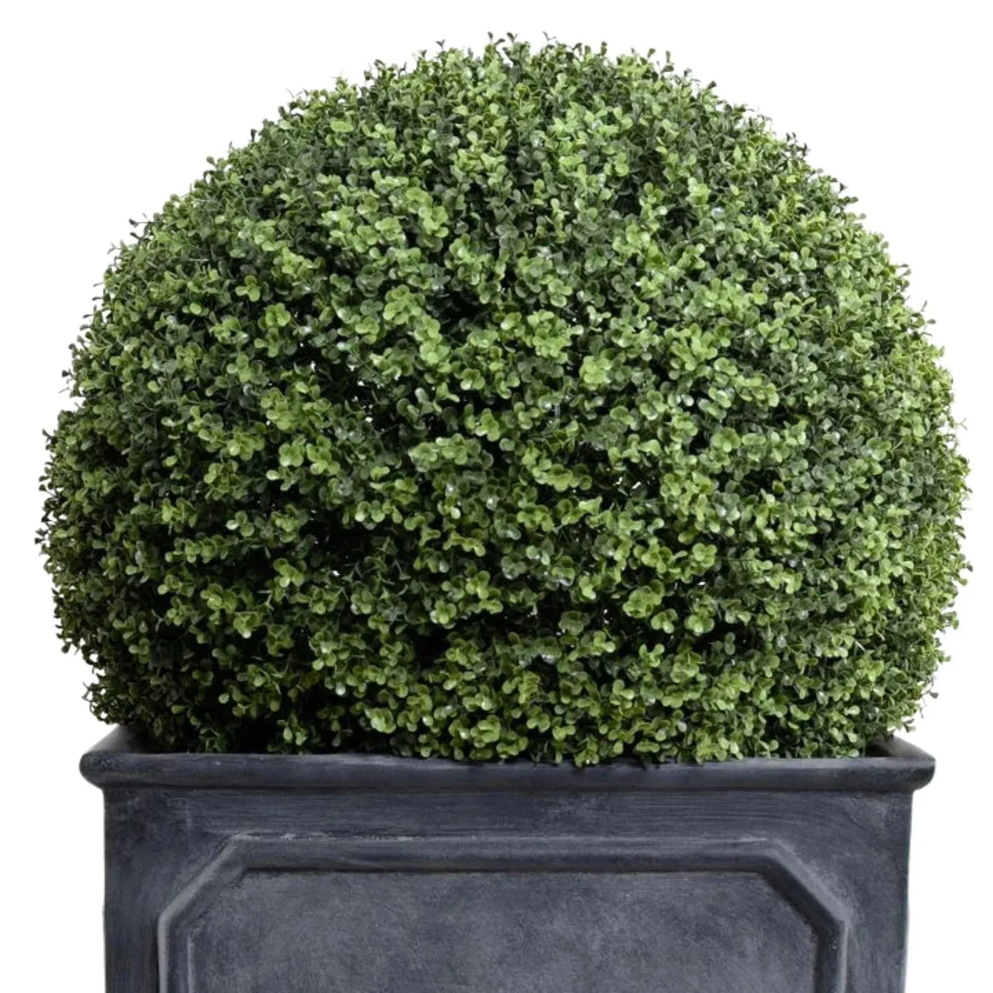 28" Faux Boxwood Ball in Square Planter