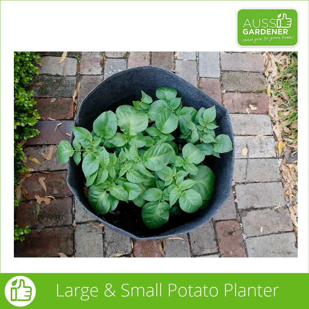 Aussie Gardener Potato Grow Bags - Reusable Heavy Duty Planter Bags - the easy way to grow potatoes at home