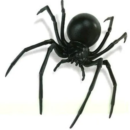 Black Widow Spider