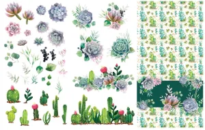 Cacti & Succulents Transfer - Dixie Belle Paint Company