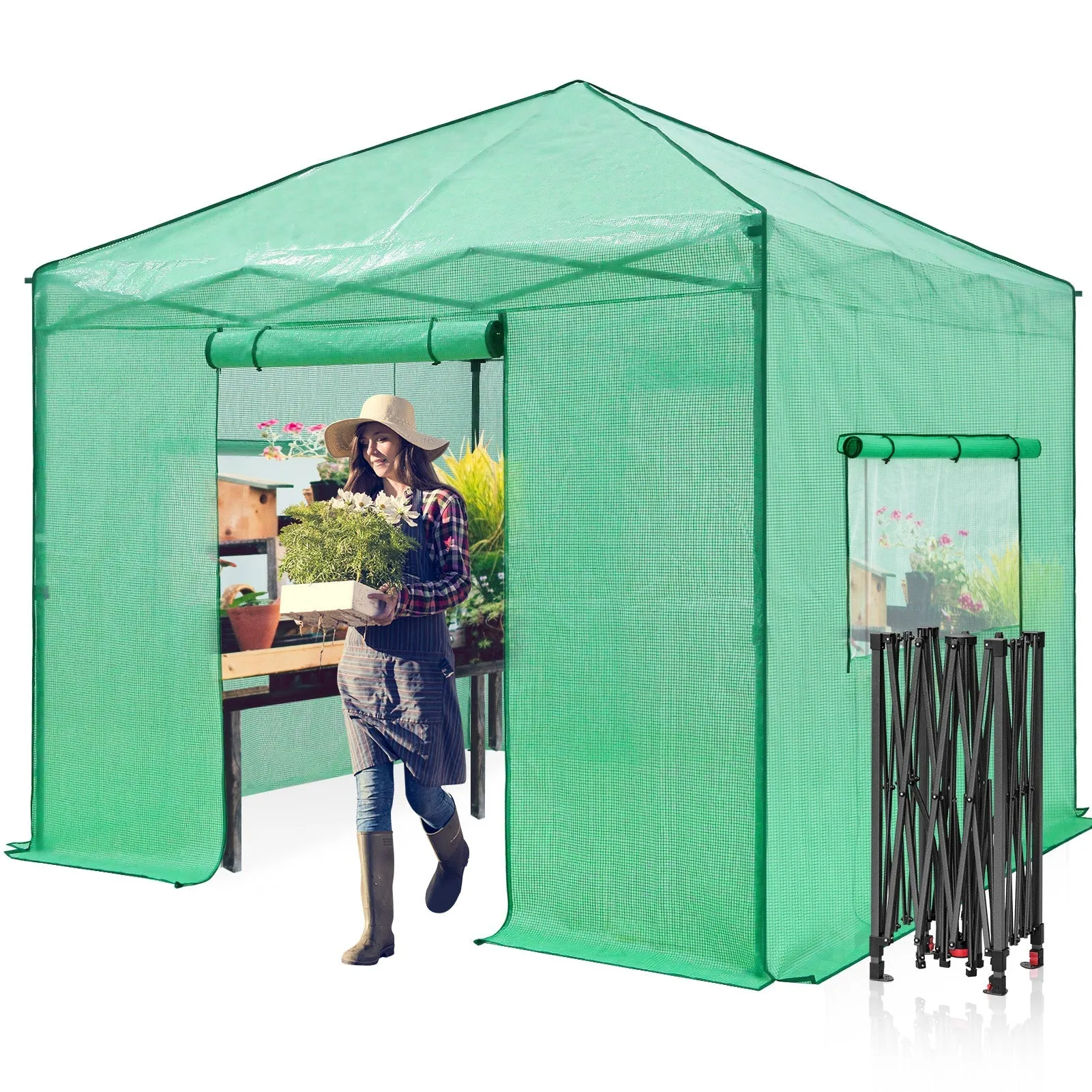 EAGLE PEAK 10x10 Pop-up Walk-in Greenhouse