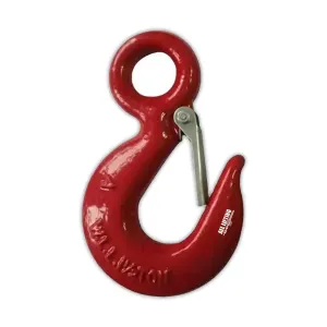 Eye Hoist Hook with Safety Latch