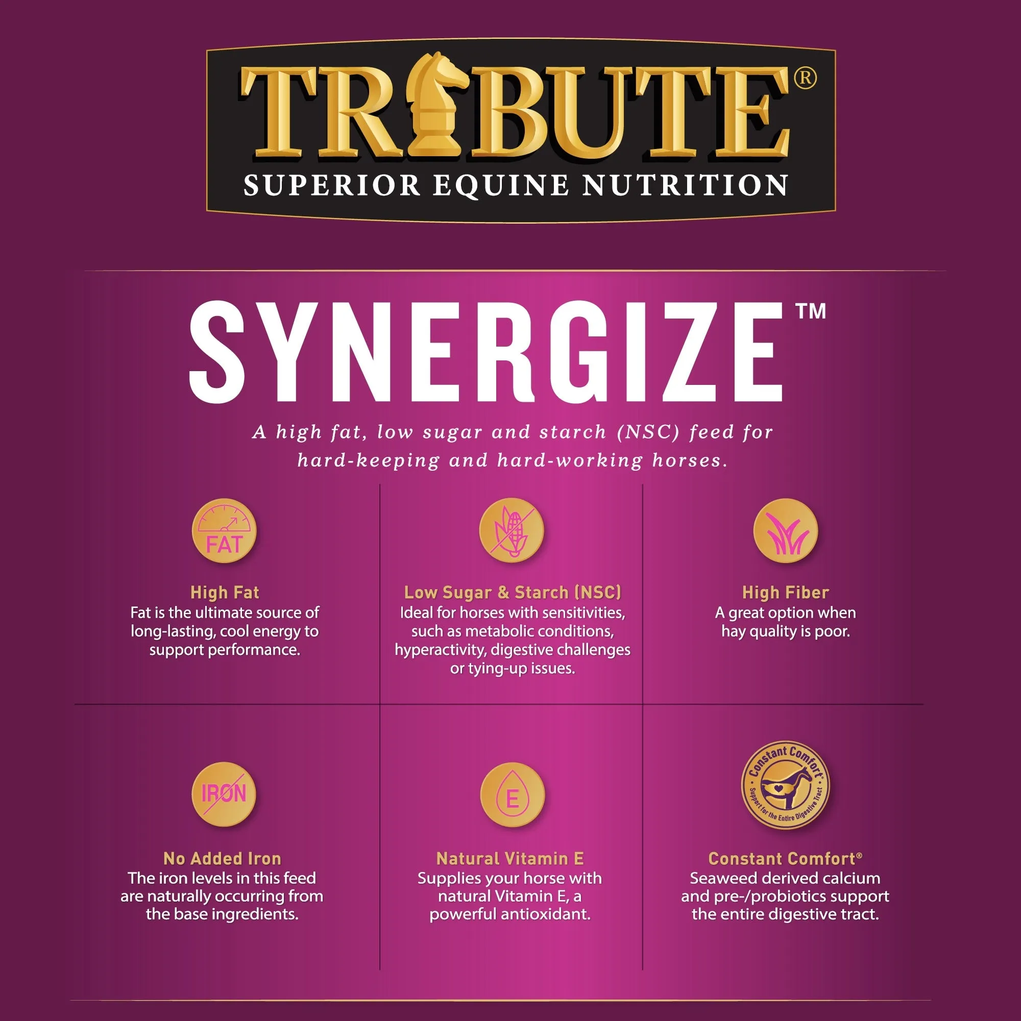 Synergize™, Low NSC, High Fat Pelleted Horse Feed