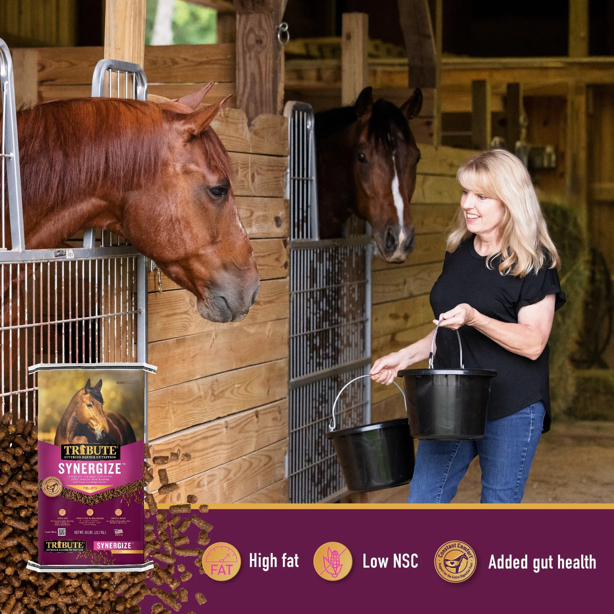 Synergize™, Low NSC, High Fat Pelleted Horse Feed